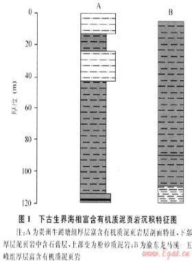 我國(guó)富含有機(jī)質(zhì)泥頁巖發(fā)育特點(diǎn)與頁巖氣戰(zhàn)略選區(qū)