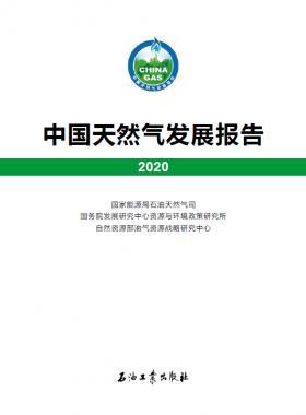 2020中國天然氣發(fā)展報告（含2017、2018、2019、2020）