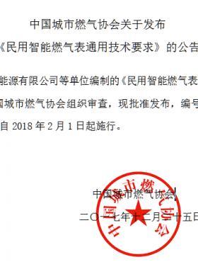 《民用智能燃氣表通用技術(shù)要求》T/C公共安全標(biāo)準(zhǔn)S003-2017